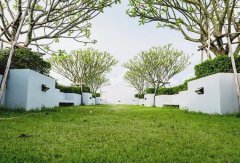 苗木行業(yè)發(fā)展至今日趨成熟，你的苗圃正面臨著