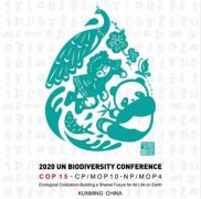 2020年聯(lián)合國生物多樣性大會會標(biāo)發(fā)布